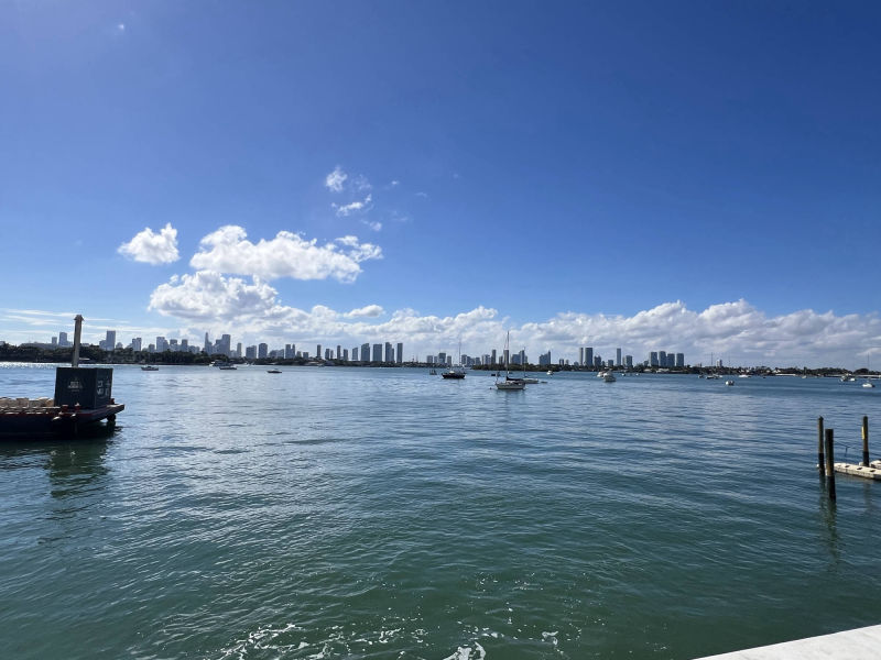 the bay