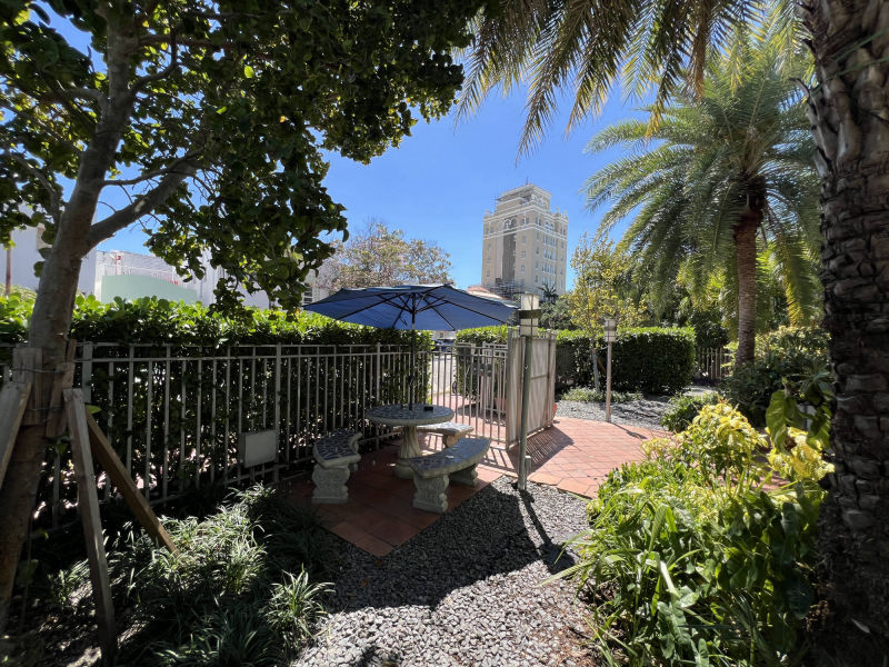 Building patio with view of the old city hall