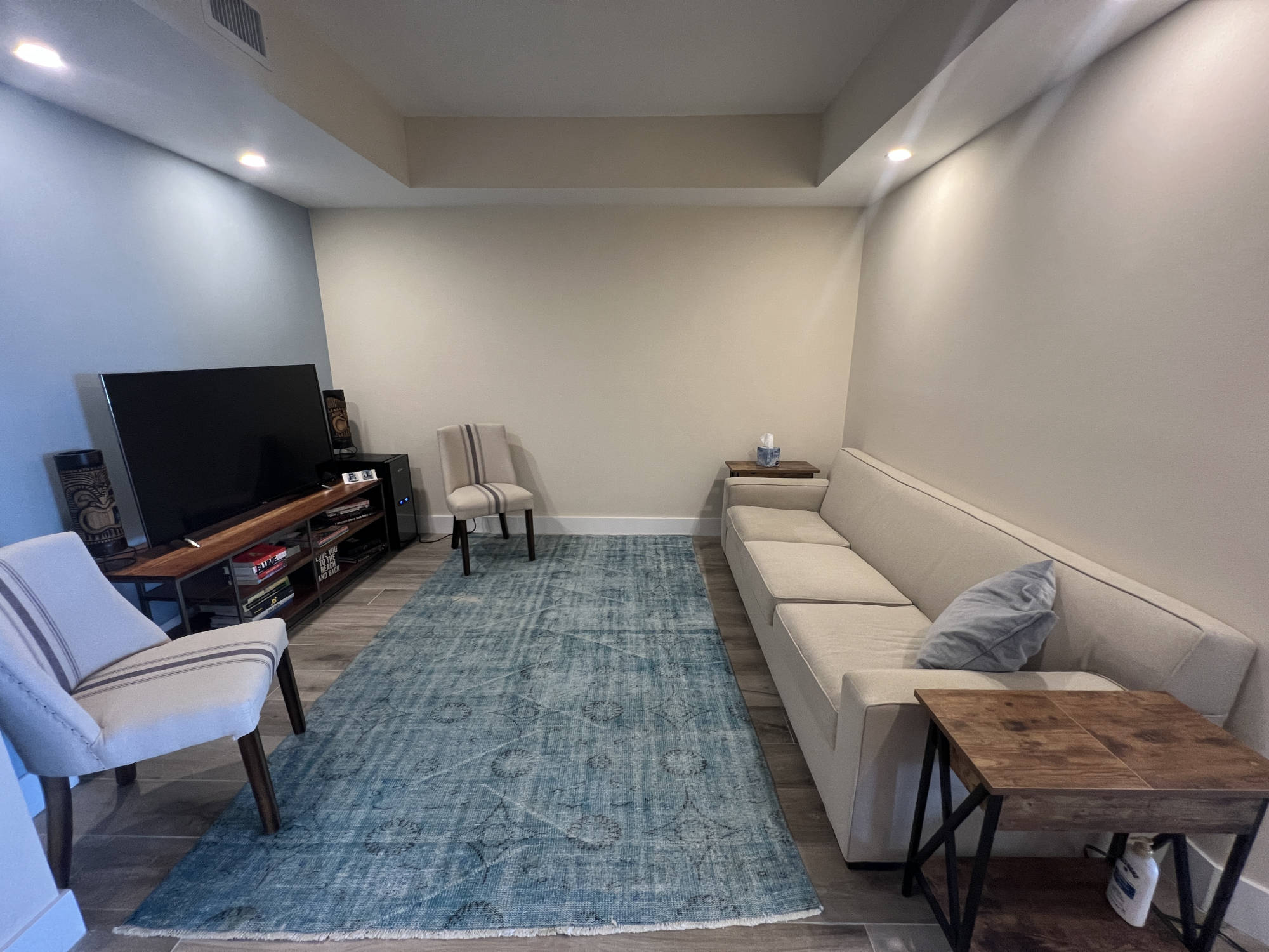 entertainment room