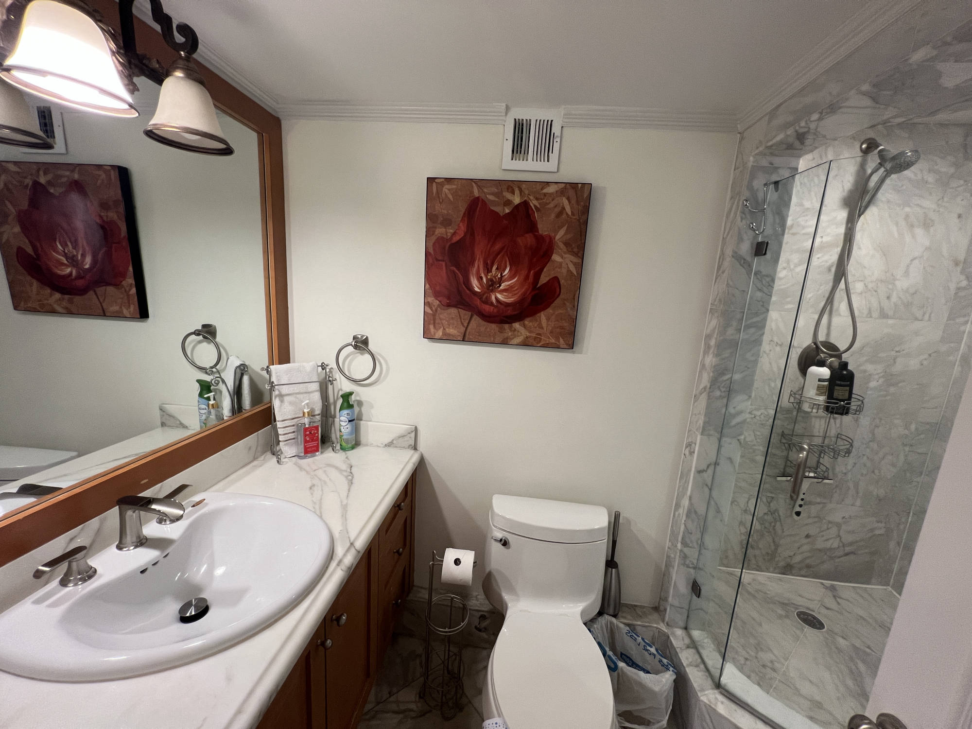 second bathroom with shower 