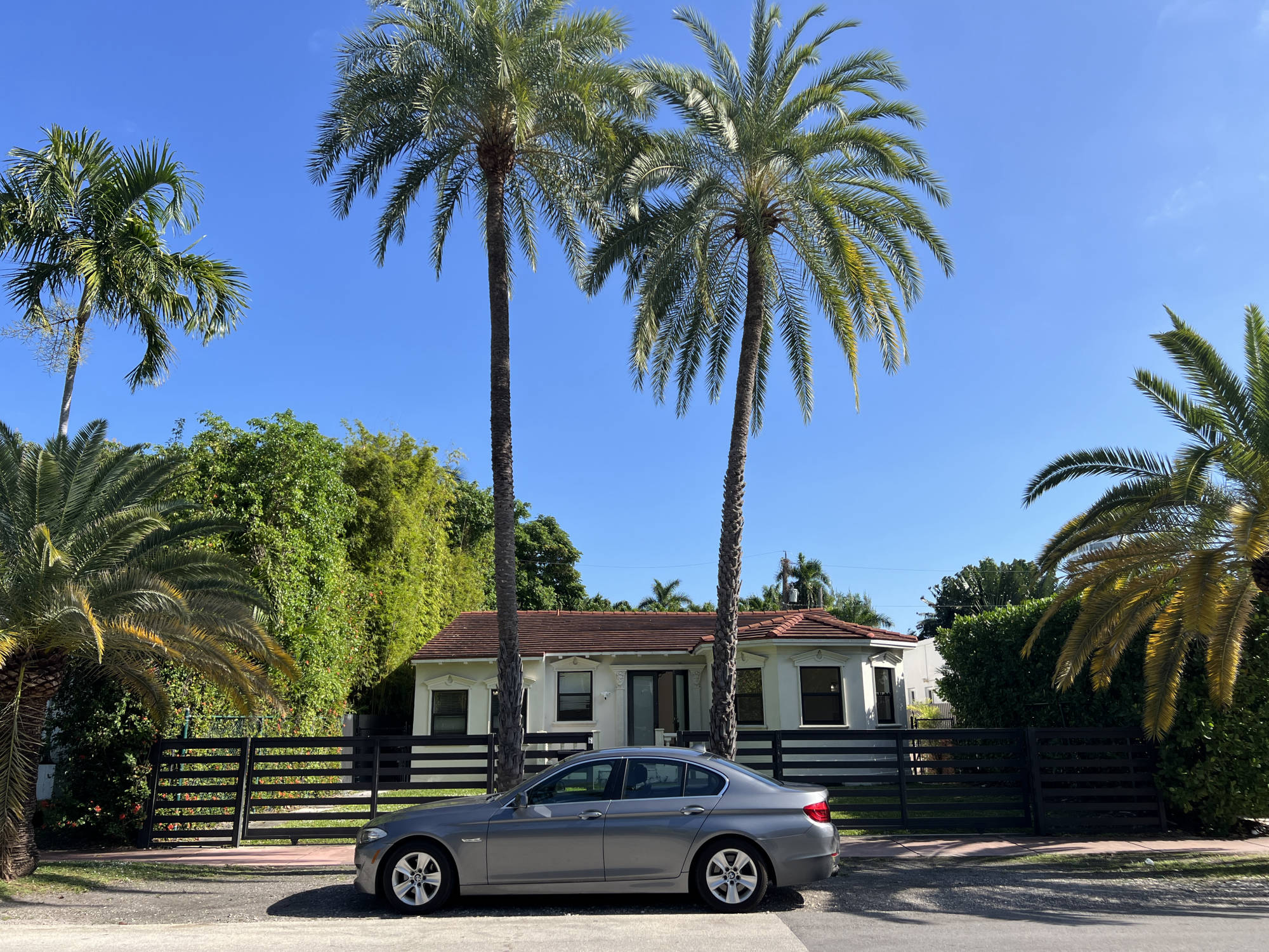 villa with palm trees seen from street